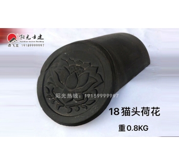 18猫头-荷花